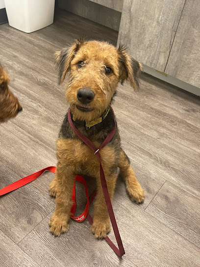 Westcliff Animal Hospital, Fort Worth