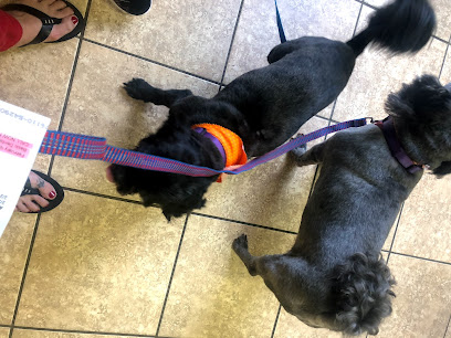Seminary Animal Grooming & Kennel, Fort Worth
