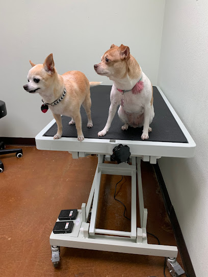 Ridglea West Animal Hospital, Fort Worth