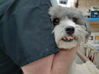 Mellina Animal Hospital, Fort Worth