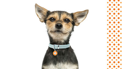 Spay Neuter Network, Fort Worth