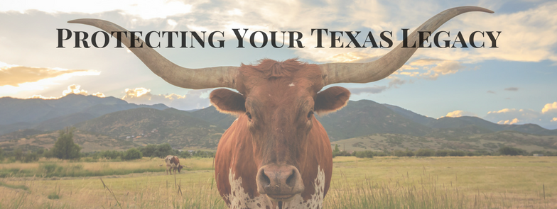 Davidson Law Group, Fort Worth
