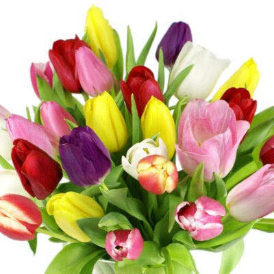 Sam's Club Floral, Fort Worth