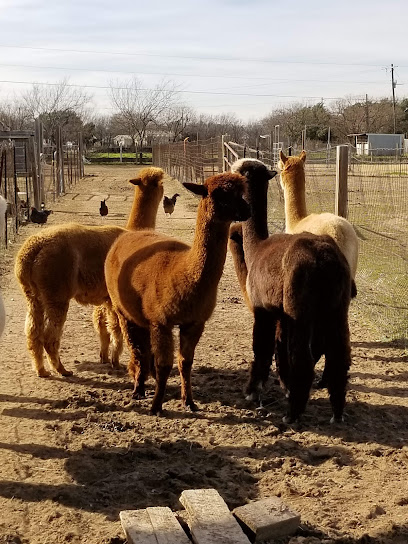 Fleece Fur and Feathers, Fort Worth