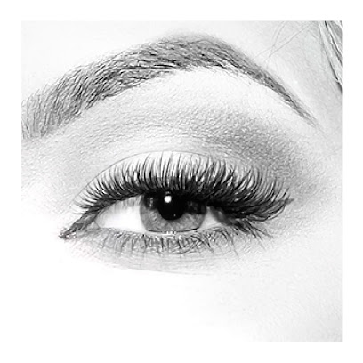 Amazing Lash Studio, Fort Worth