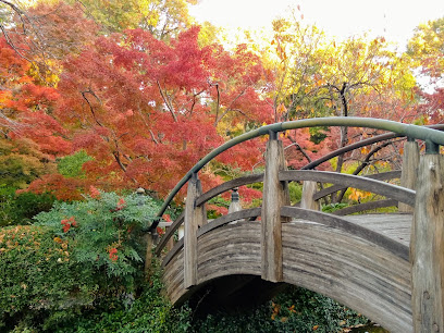 Japanese Garden, Fort Worth
