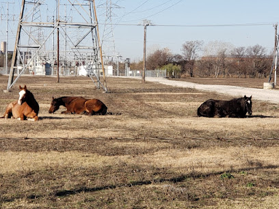 Rancho Los 3 Rios, Fort Worth