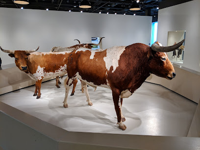 Cattle Raisers Museum, Fort Worth