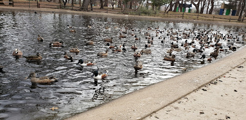 Trinity Park Duck Pond, Fort Worth