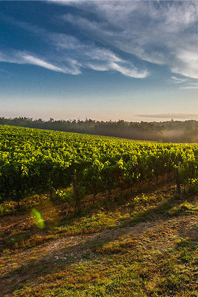 Cantina Sociale Luca Gentile US Sales, Fort Worth