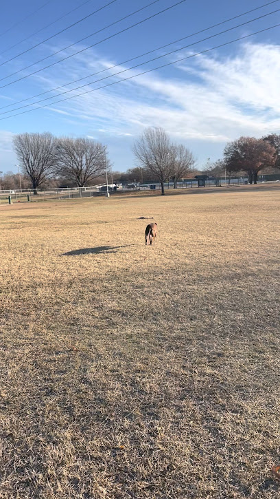Ft. Woof Dog Park
