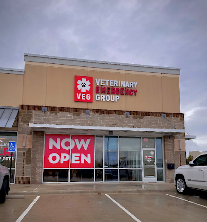 Veterinary Emergency Group