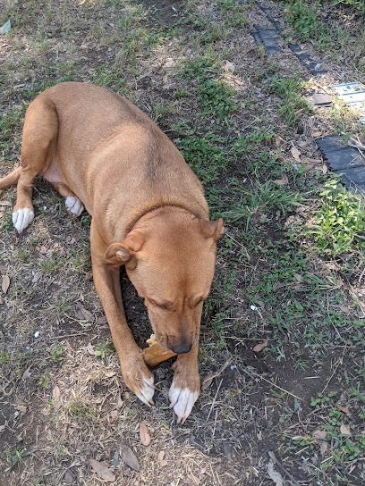 Haltom City Animal Services