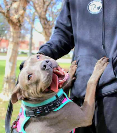 TAO Animal Rescue