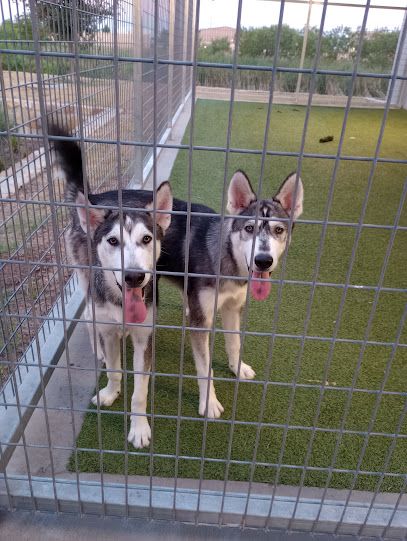Fort Worth North Animal Care and Adoption Campus