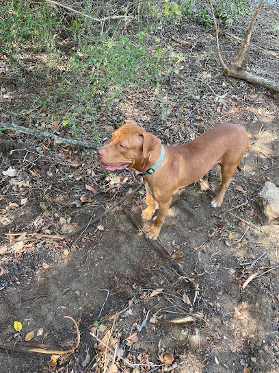 Saxe Forte Animal Adoption Center