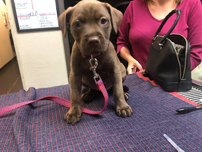 Texas Paw Care - Low Cost Pet Vaccinations
