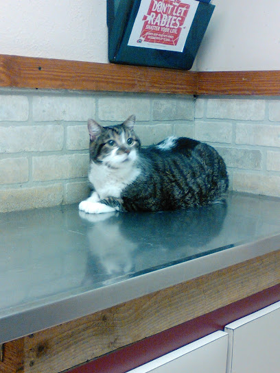 East Lancaster Animal Hospital