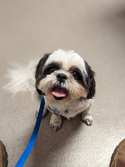 Cityview Animal Hospital